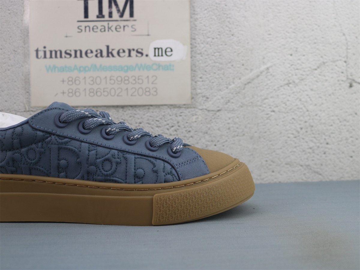 Stone Island X DIOR B33 Skateboard Shoes Men Low-Top Blue